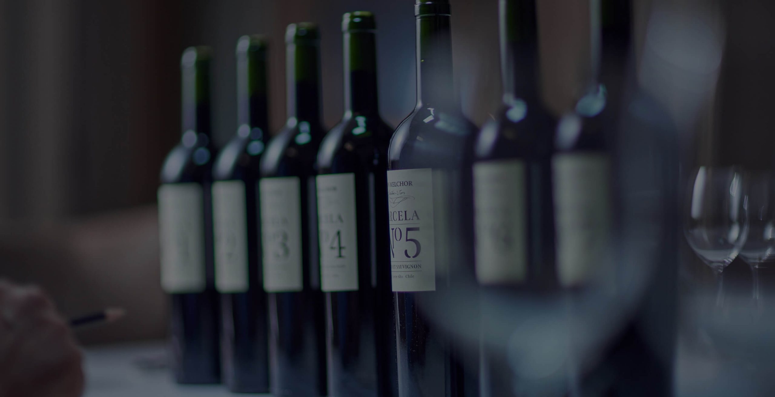 Descubre el entorno del primer vino ícono de Chile