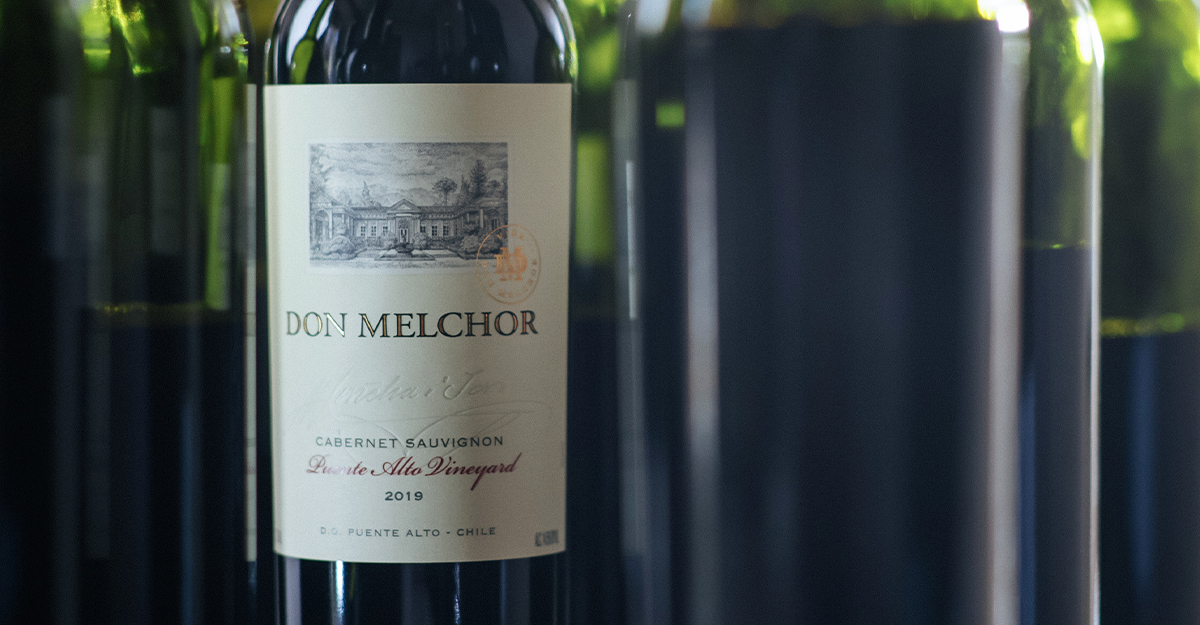 Don Melchor 2019: um vinho refinado e de grande expressão