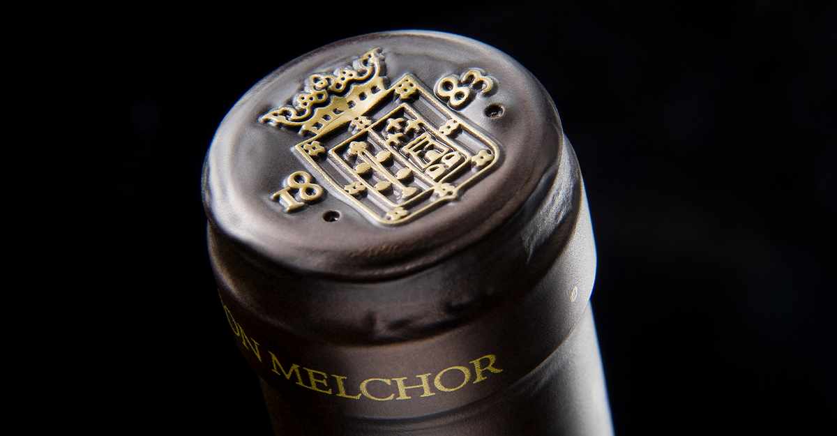 Don Melchor 2020 among the best Chilean wines in Wine Spectator