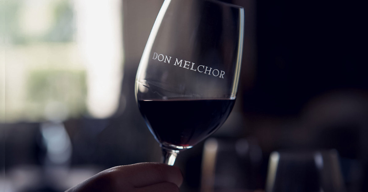 Don Melchor 2021 recibe 95 puntos en la Guía de Vinos de Alistair Cooper