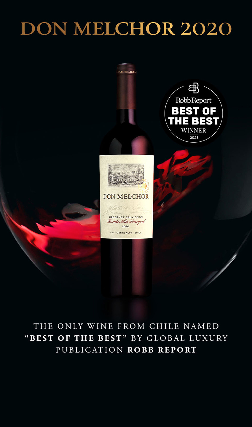 Experience Award-Winning Chilean Wines