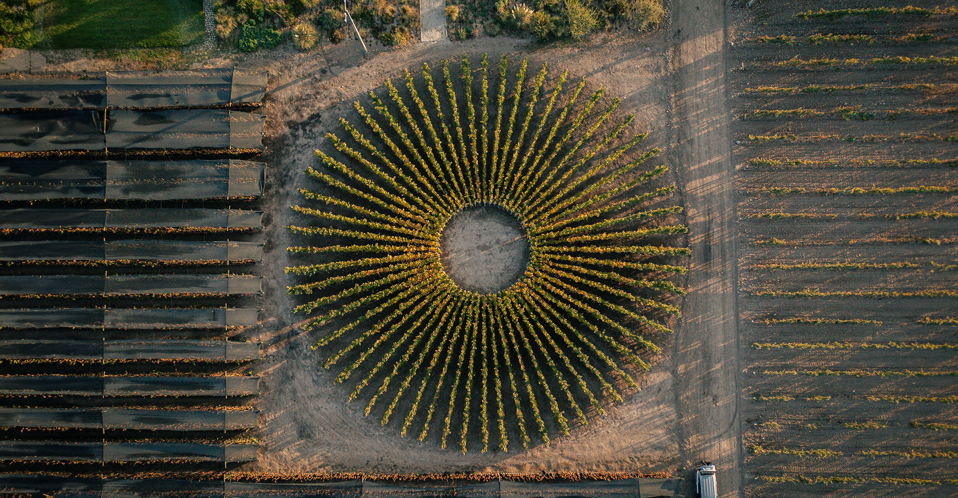 Confira a participação da Viña Don Melchor na The Old Vine Conference 2024