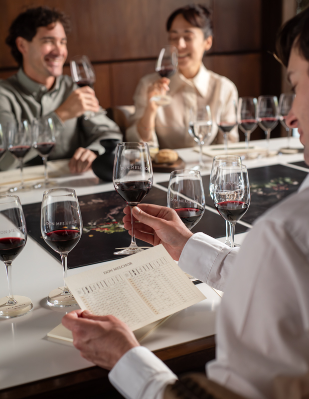 Don Melchor Collector’s Experience