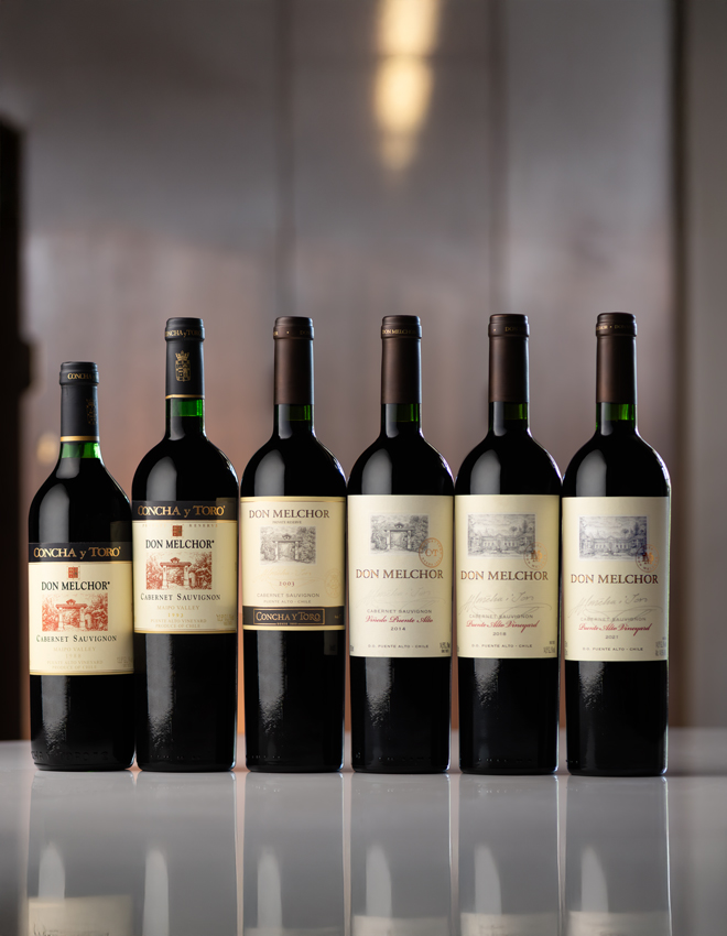 Don Melchor: A Journey of Excellence