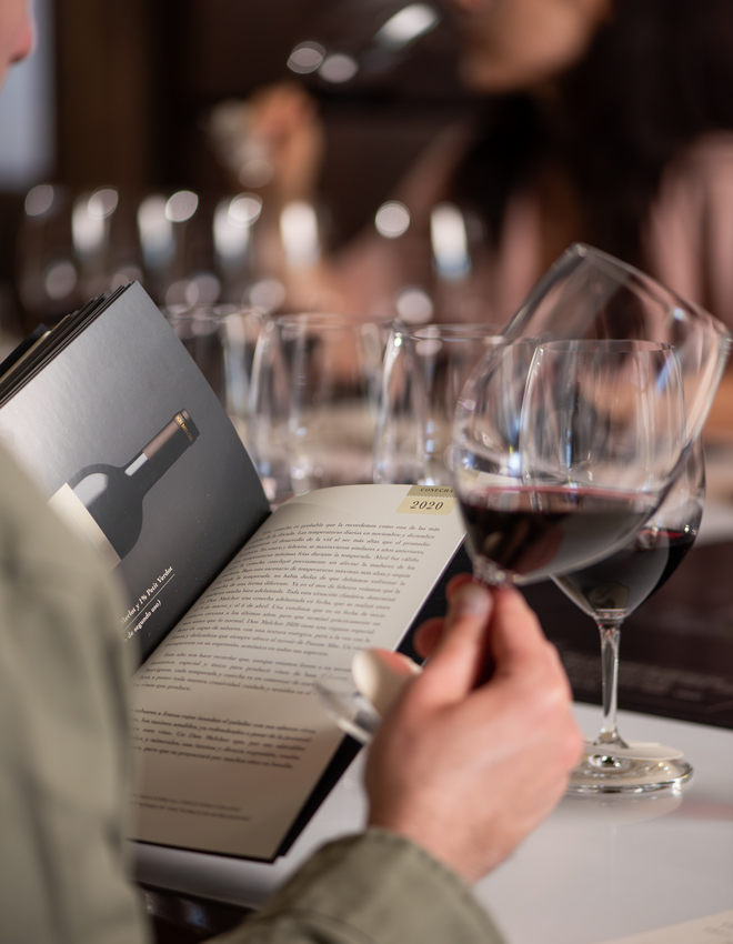 Don Melchor: A Journey of Excellence