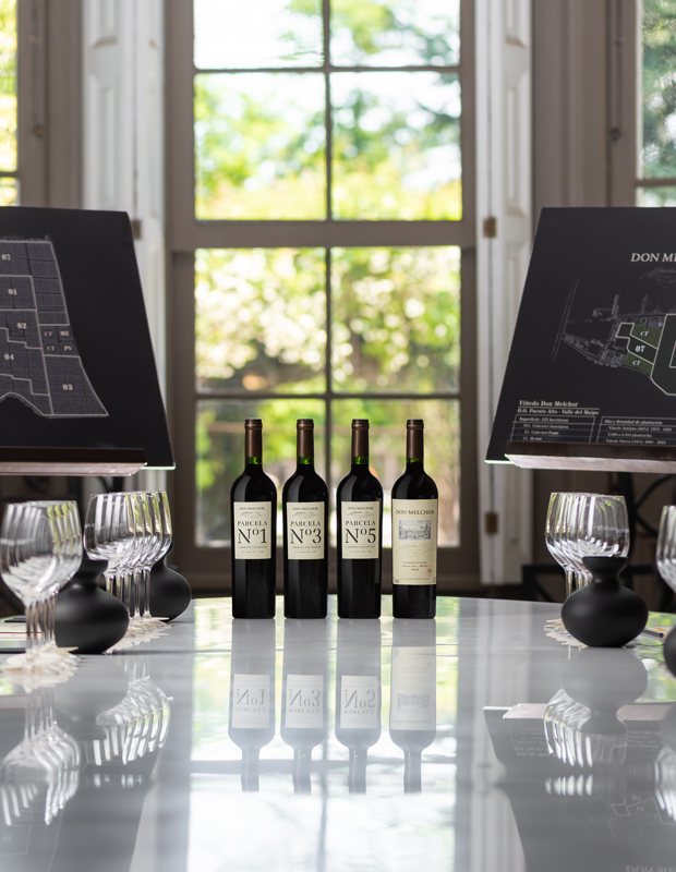 Don Melchor Collector’s Experience