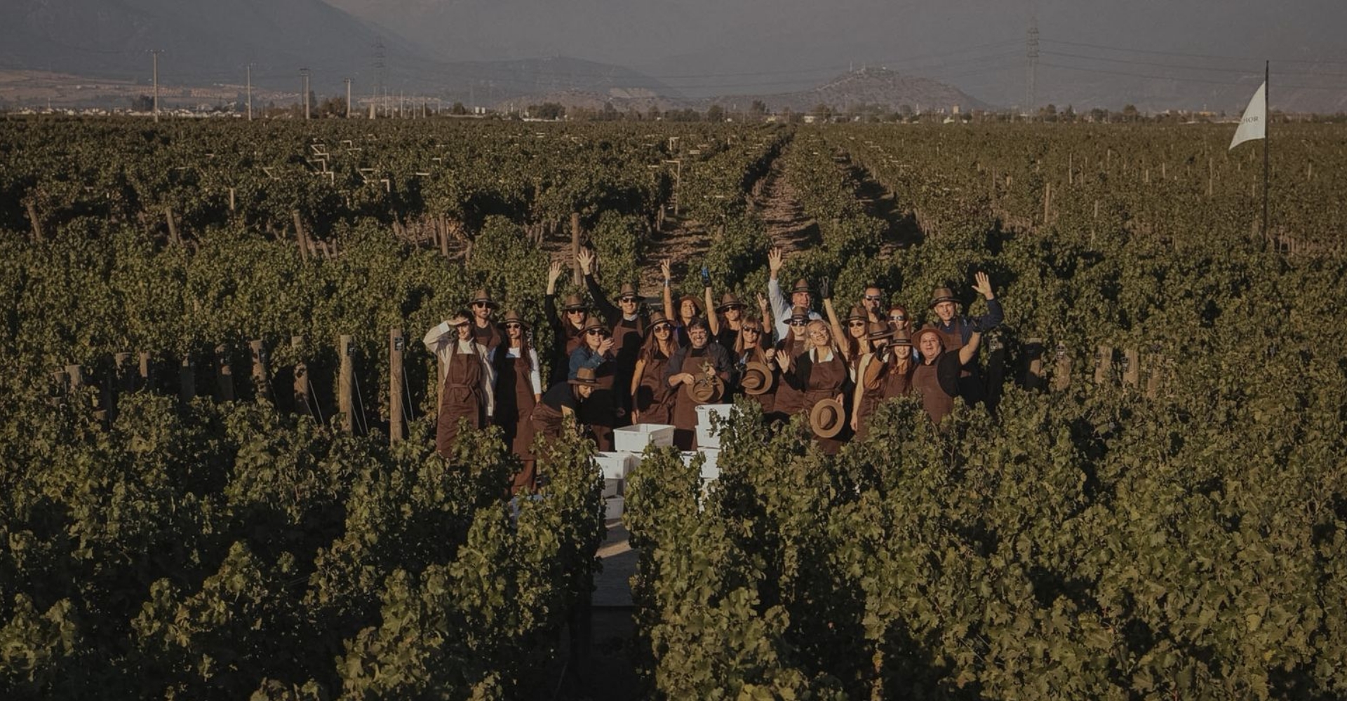 Cosecha N°40 de Don Melchor: una celebración de excelencia