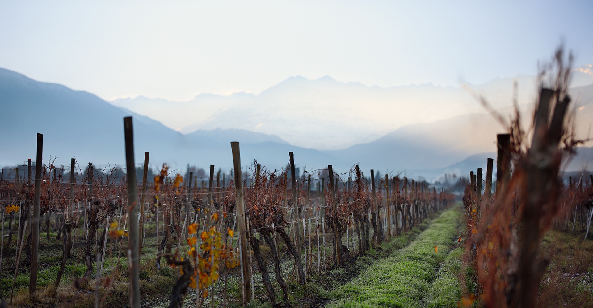 Puente Alto: el origen detrás del Cabernet Sauvignon N°1 del mundo